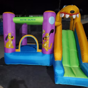 Fancy Residential 2 in 1 Bouncy Castle with Slide